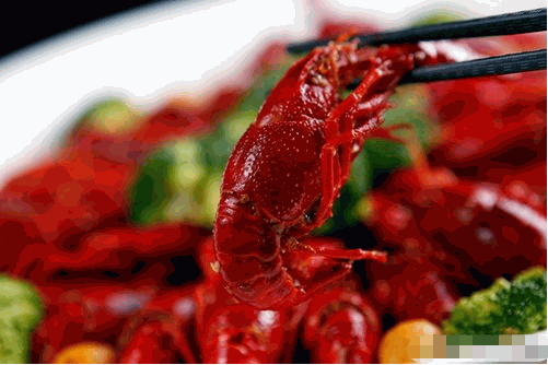 /uploads/image/2021/10/28/d3713ebd8a2daa3055288e6fee0efc77.png image.png